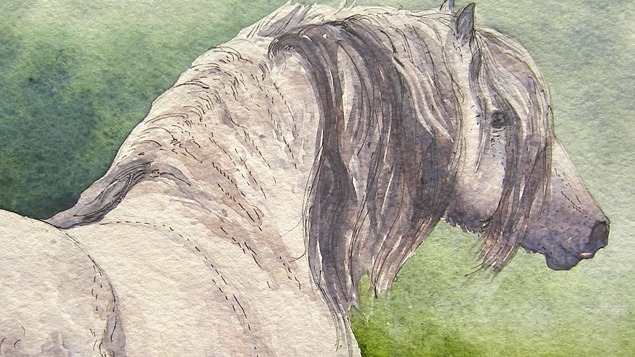Learn to Draw and Paint Horses