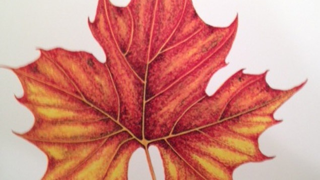 Autumn Leaves in Watercolor