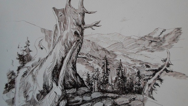 Winter Landscapes In Pen And Ink, Pen And Ink Landscape Drawing Techniques