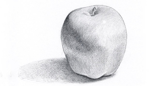 Intensive: Beginning Drawing – The Comparative Method