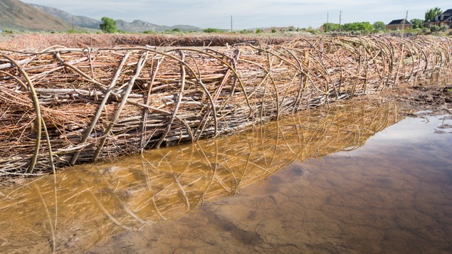 Land Art and The Nature Conservancy