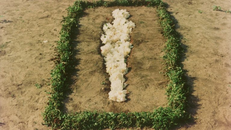 JoAnne Northrup on the Women of the Greater West