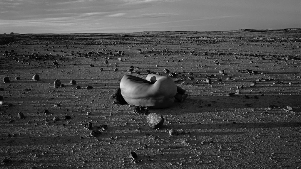 Laid Bare in the Landscape Nevada Museum of Art