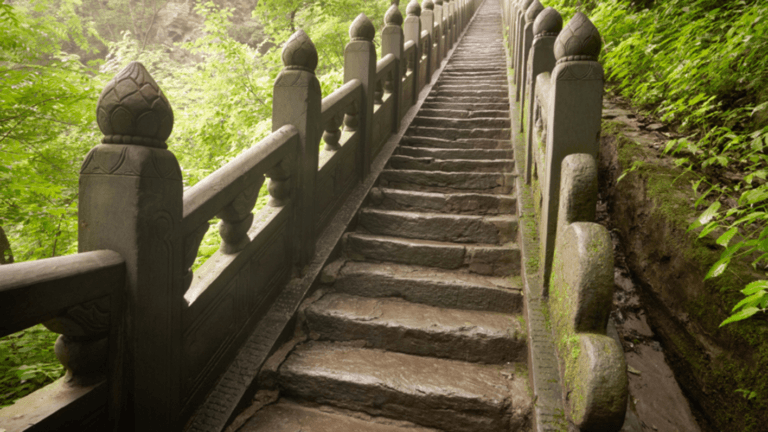 The Art of Meditation