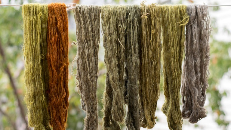 Artist Sarah Lillegard on Natural Dyes and Craft Culture