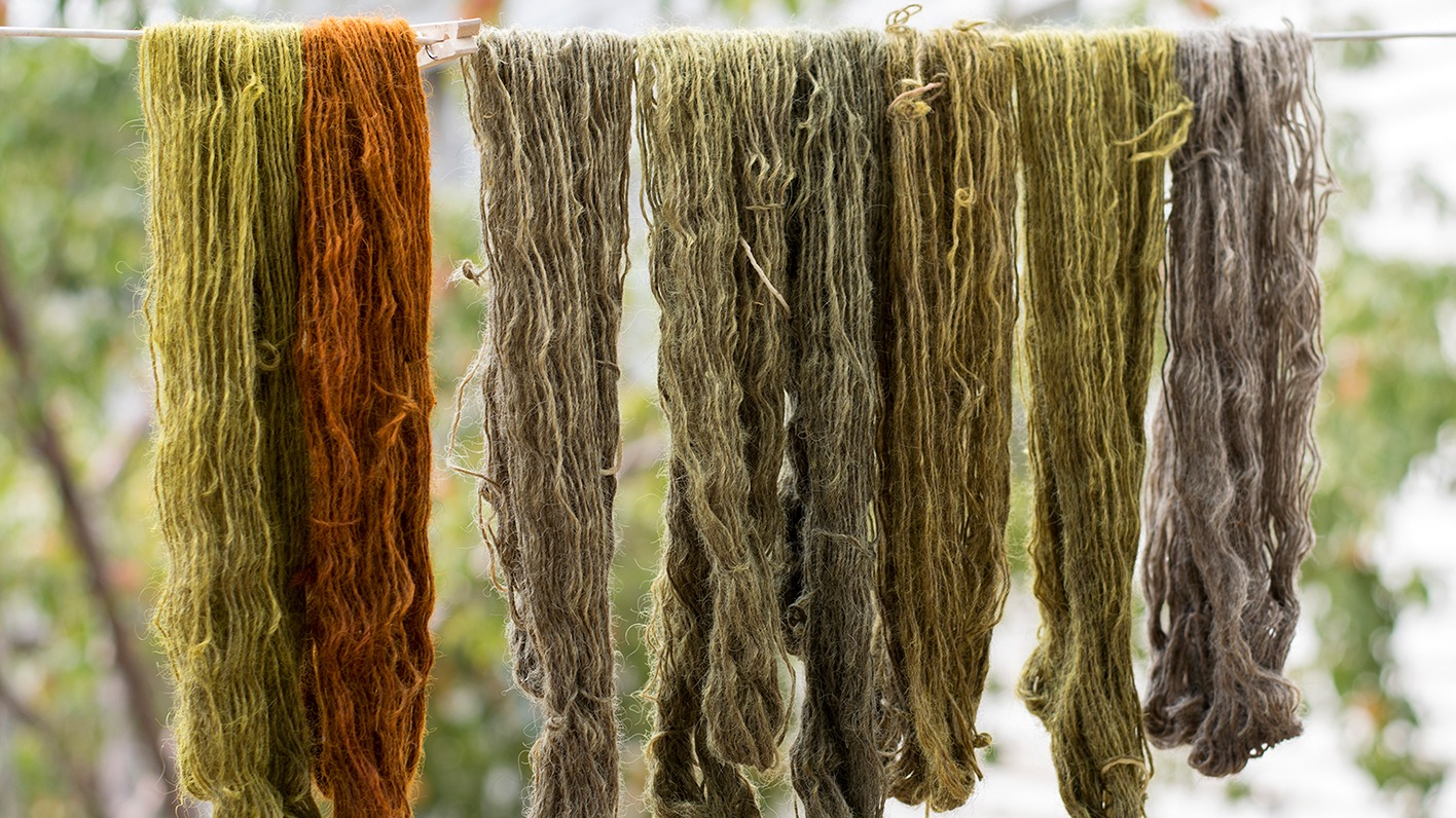 Artist Sarah Lillegard on Natural Dyes and Craft Culture