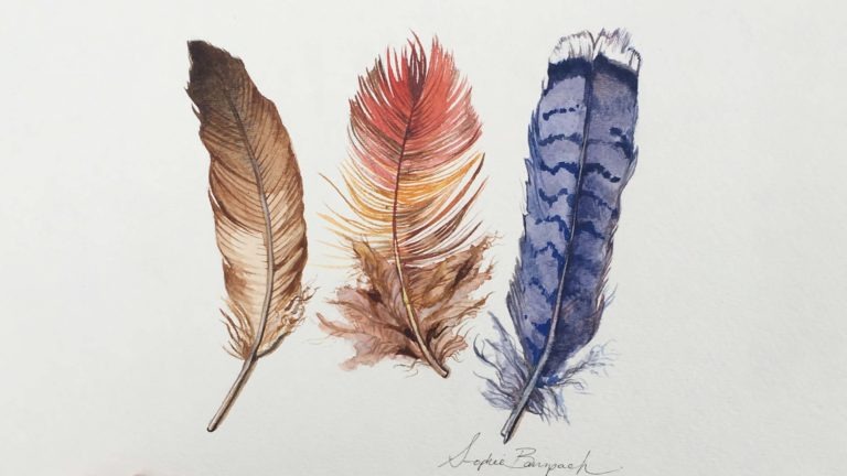 Natural Illustration: Feathers in Watercolor