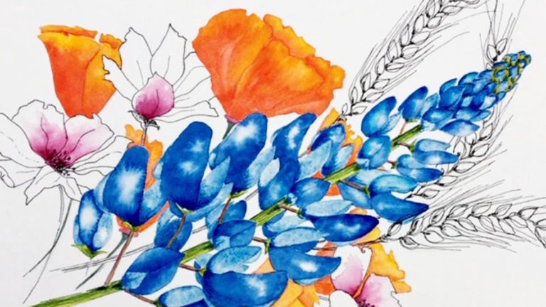 Summer Bouquets in Ink and Watercolor