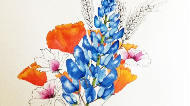 Painting Summer Flowers in Watercolor and Ink