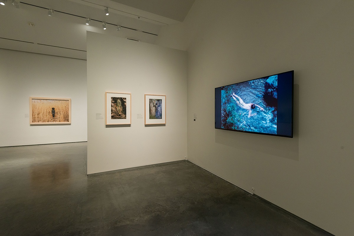 Laid Bare in the Landscape Nevada Museum of Art