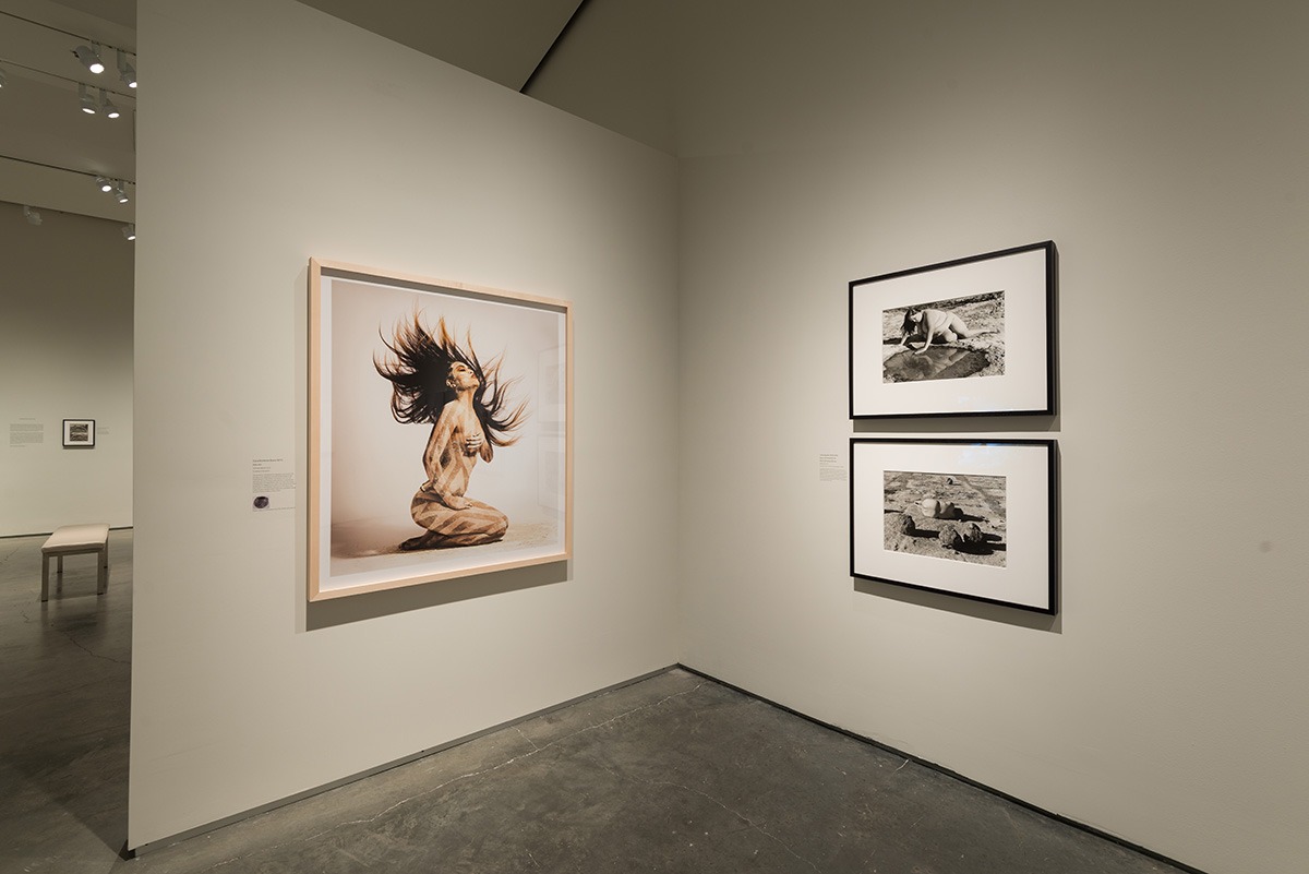 Laid Bare in the Landscape Nevada Museum of Art