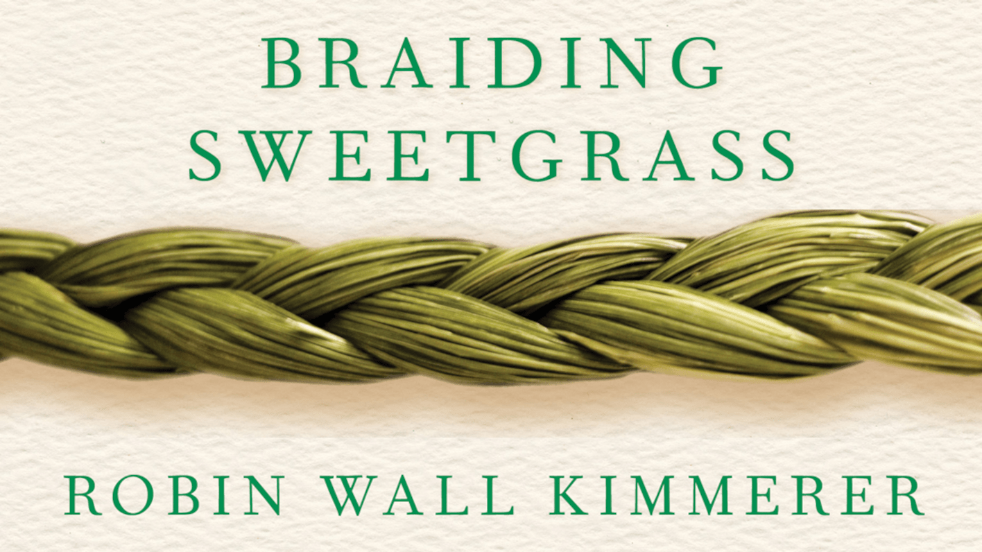 Turning Pages Book Club Braiding Sweetgrass by Robin Wall Kimmerer