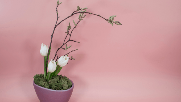 Introduction to Ikebana: The Art of Floral Arrangement