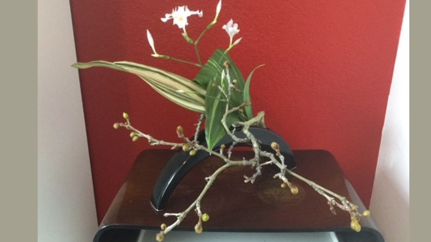 Introduction to Ikebana The Art of Floral Arrangement Nevada Museum of Art