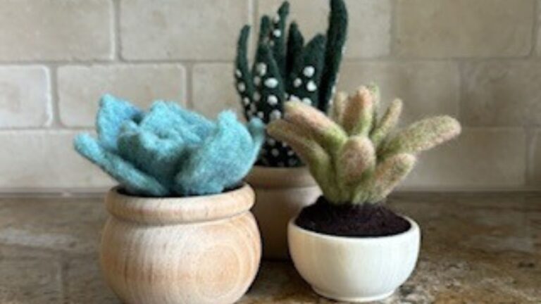 Intro to Needle Felting: Succulents