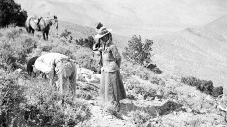 Annie Montague Alexander: Fossils and Field Work