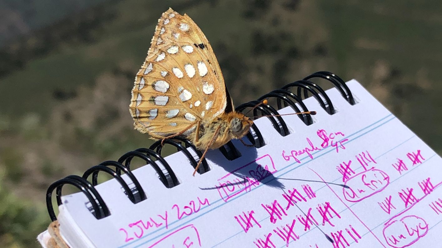 Interdisciplinary Field Work in Art and Science: Where Global Meets Local