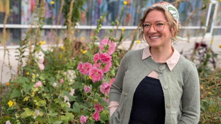 OLLI Art at the Museum: How and Why to Look at Art