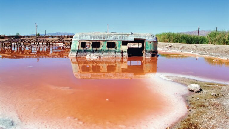 Artist Responses to a Changing Earth
