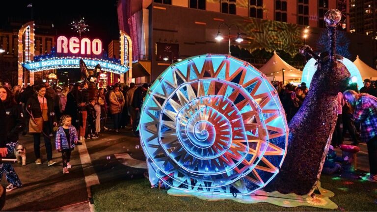 Western Lights Workshop