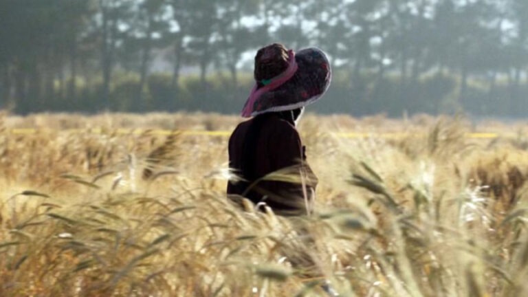 Wild Relatives with Director Jumana Manna