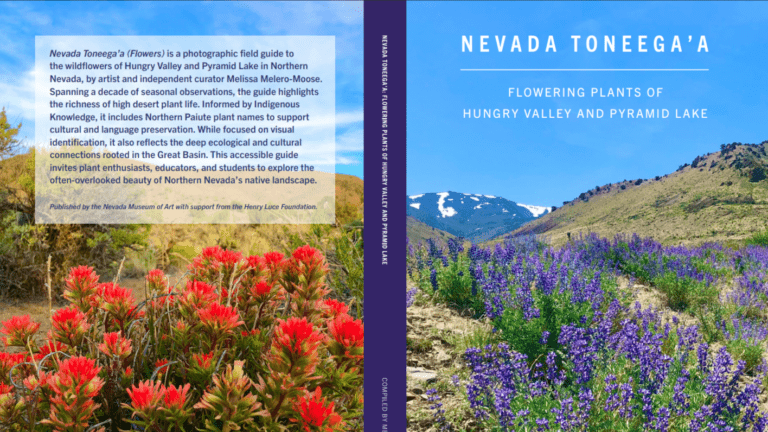 OLLI at the Museum: Connecting Nevada Wildflowers with Northern Paiute Language Traditions
