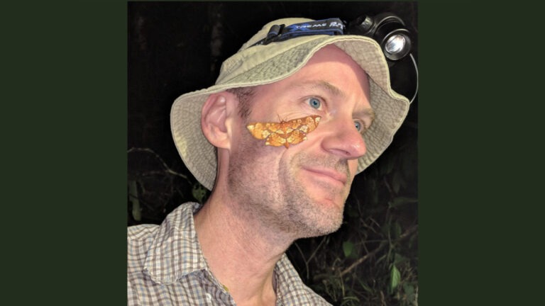 Butterflies, Biodiversity, and Lost Species