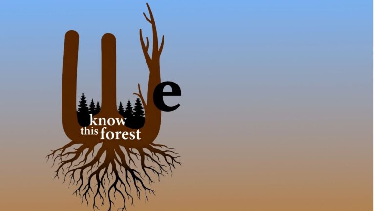 We Know This Forest