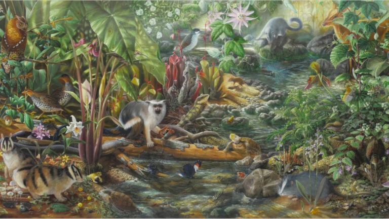 Freshwater Resilience through Films, Science, Art and Policy